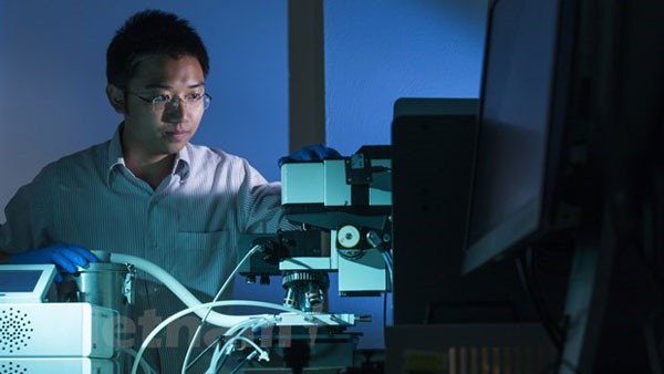 Australia funds Vietnamese researchers to develop new-generation solar battery